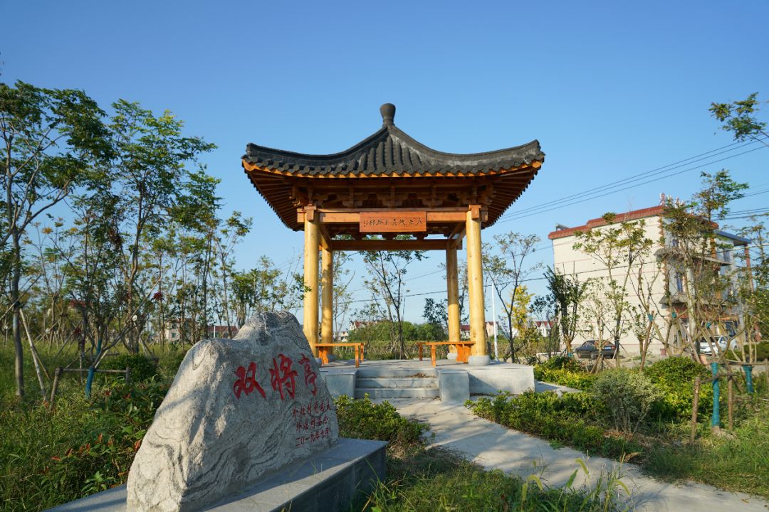 喜讯书院镇这个村刚刚获评2019年度上海市美丽乡村示范村