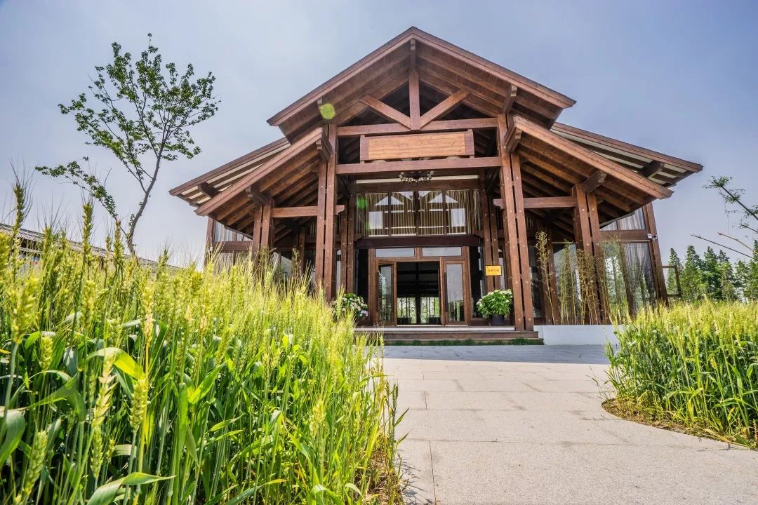 嘉兴唯一!崇福农创园获评五星级青创农场