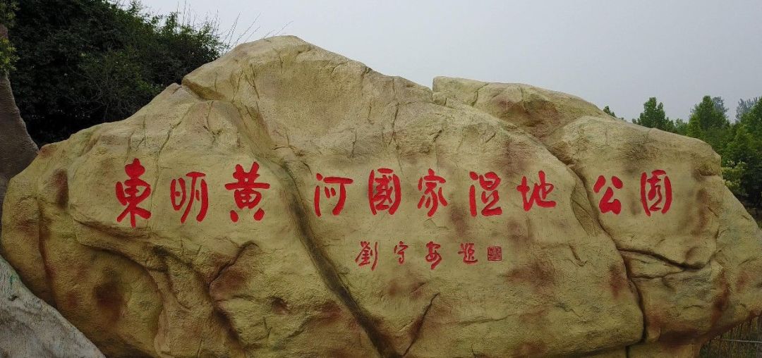 山东东明黄河国家湿地公园位于山东省菏泽市东明县,南北长3635米,东西