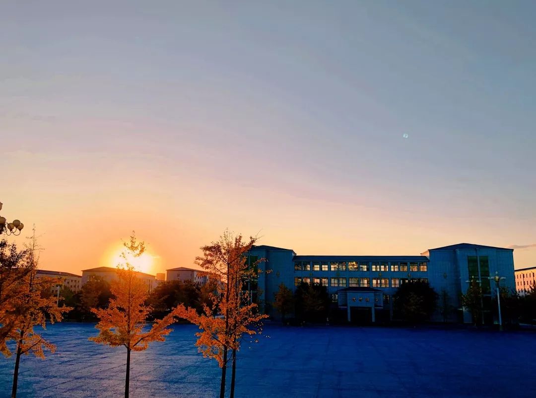 爸爸妈妈我在辽财都挺好