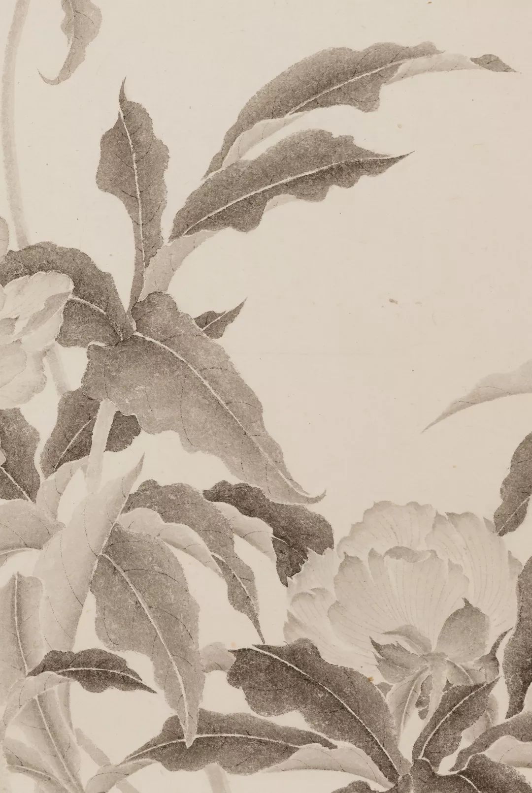 适我为新陈相锋水墨花鸟作品选