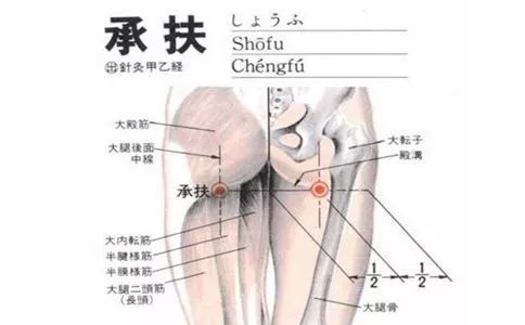 承扶穴腰骶臀股部疼痛痔疾