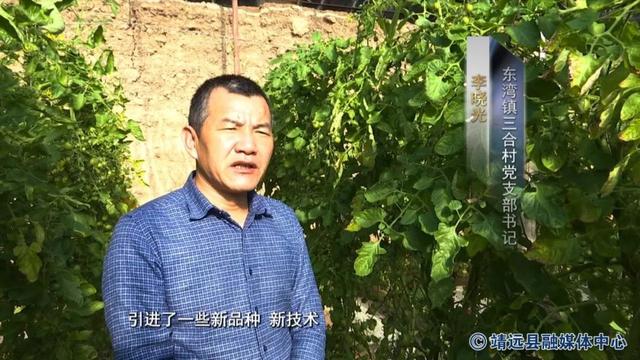 三合村:特色种植融合发展 奏响绿色致富凯歌_东湾镇