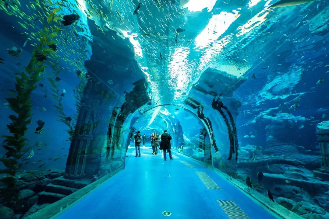 实力宠粉波塞冬海底世界门票免费送