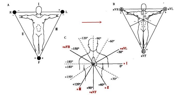avf,avl)一并通过坐标图的轴中心点,构成额面六轴系统