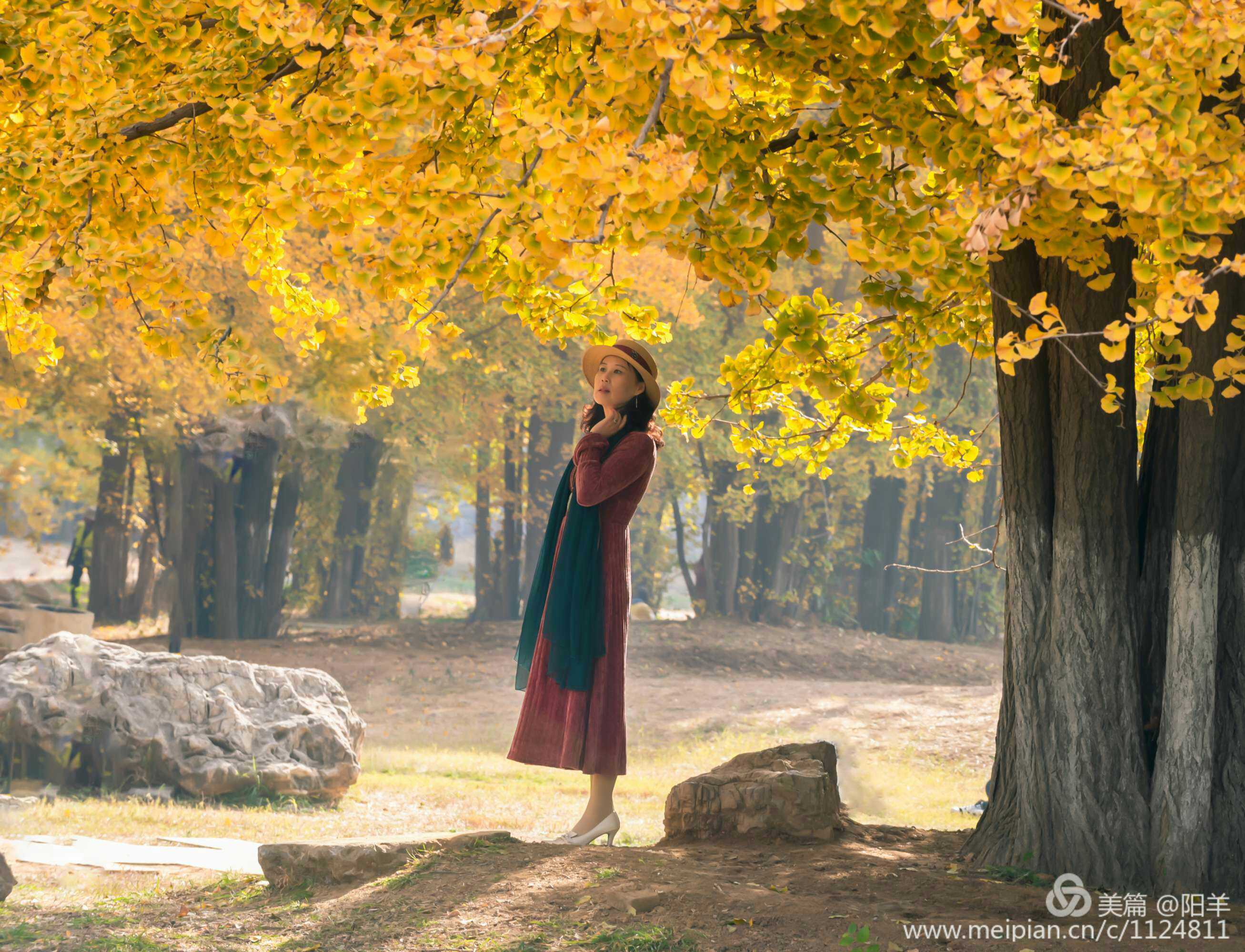 一场车祸,男人撒手人寰女人悲痛欲绝,沉默寡言老树下,女人背靠大树