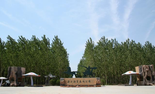 2019惠民旅游亮点集锦