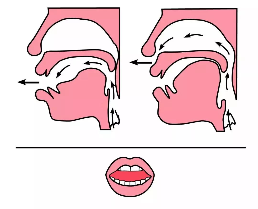 舌根抬起抵住软腭图图片
