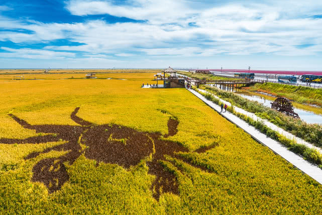 实际上,大多数的盘锦河蟹均出自盘锦稻田.
