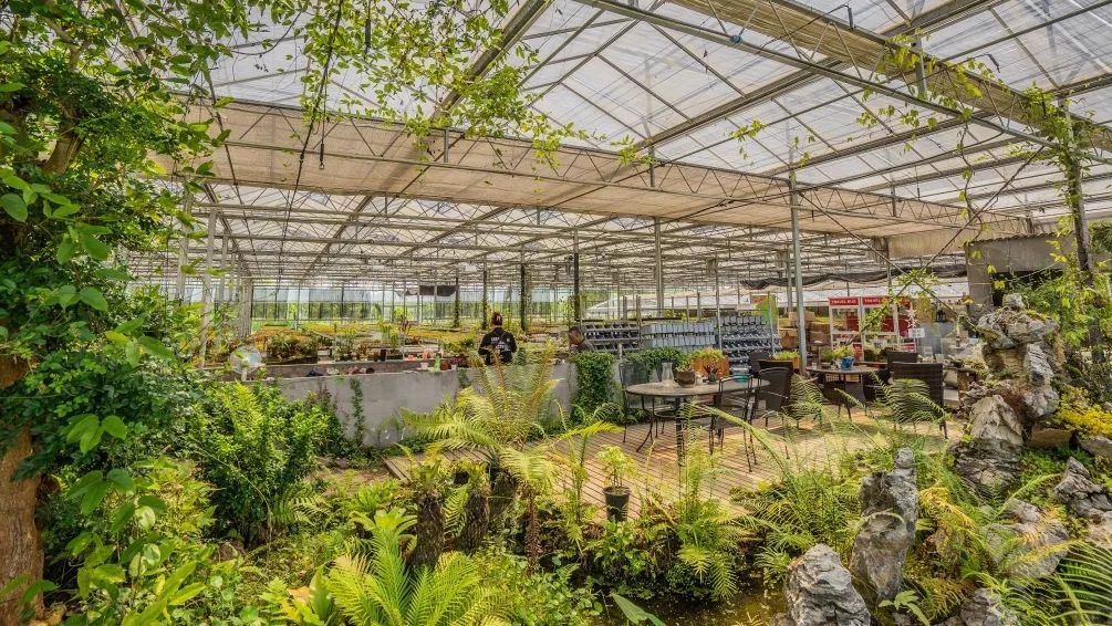 嘉兴唯一!崇福农创园获评五星级青创农场