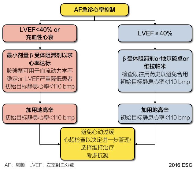 3 房颤患者的长期心率控制降低房室结传导的一线推荐治疗是β受体阻滞
