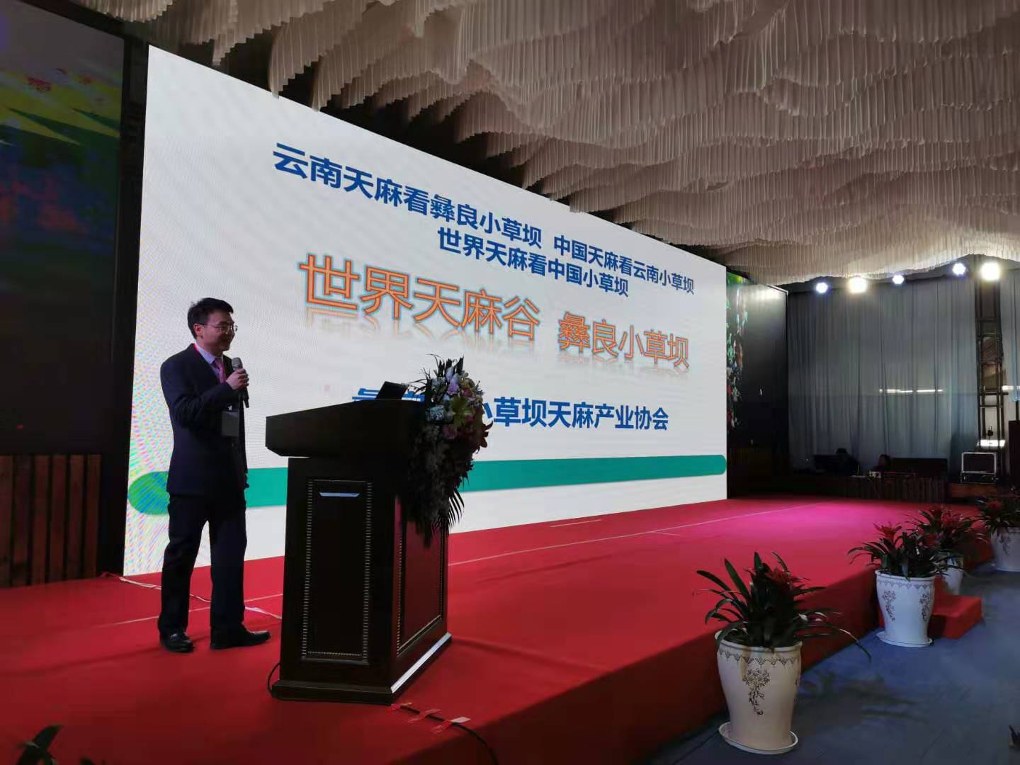 彝良县小草坝天麻产业协会强势亮相云品出滇国际峰会