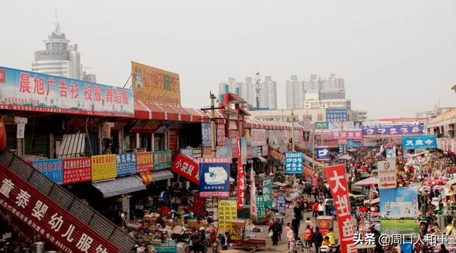 周口荷花市场图片