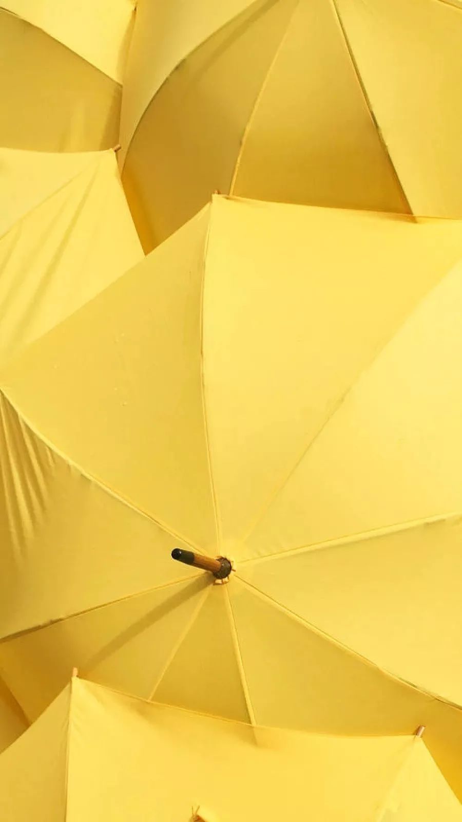 黄色系背景图壁纸合集