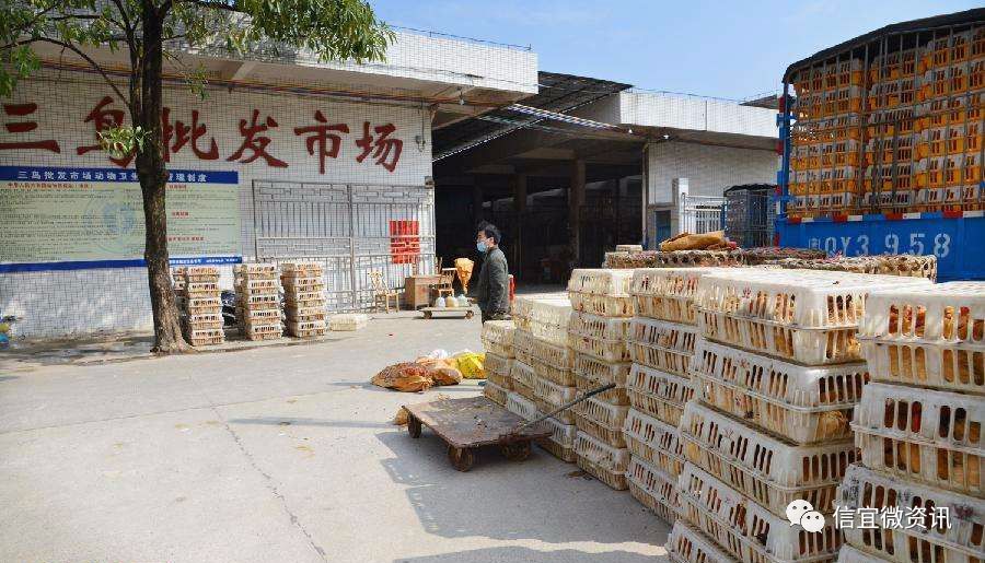 信宜这个约2.5万m05的三鸟批发市场建在这里!