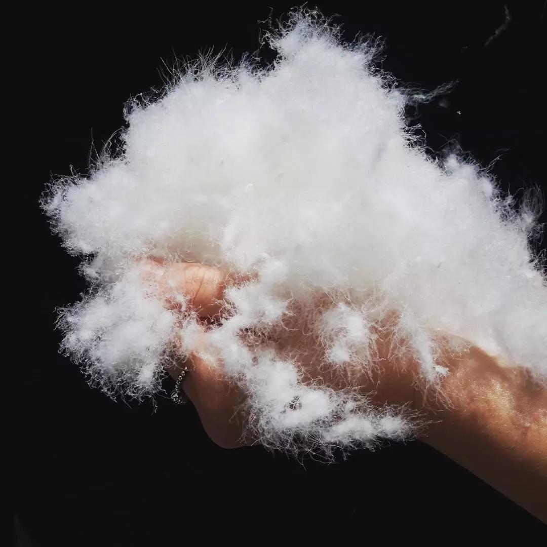 90鹅绒今年羽绒服为什么这么贵贵在哪里