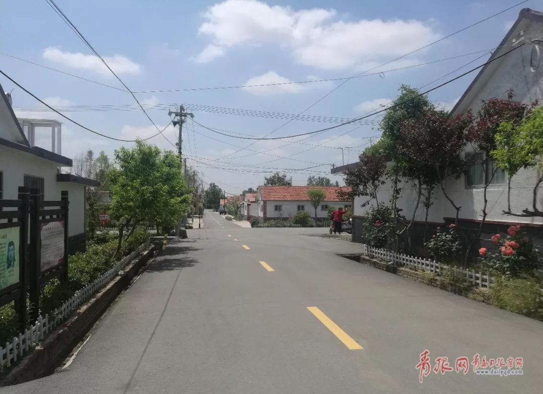 年底前,胶州的这些村要干成这件大事儿!