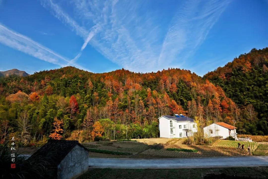 这里有浦江第一个花园村—湃桥南山村傍山而筑,依水而居处处花团簇