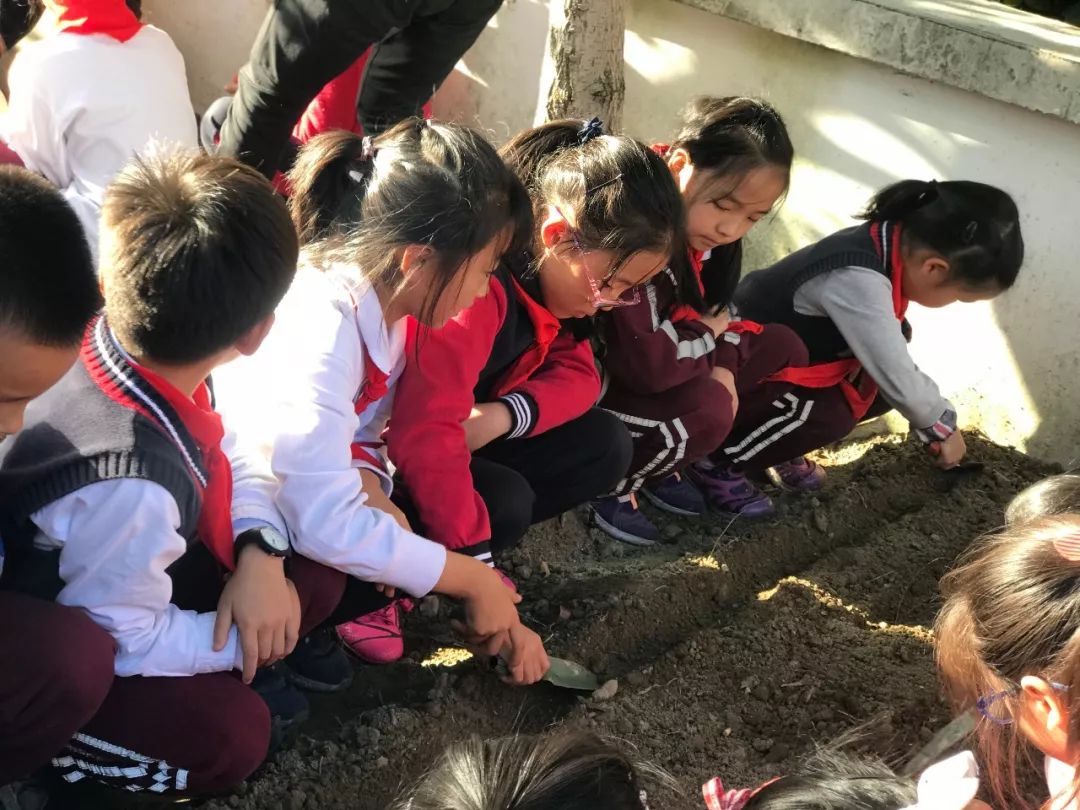 "播种希望,收获美好,乐享成长" ——九亭第二小学"小海乐菜园"动土