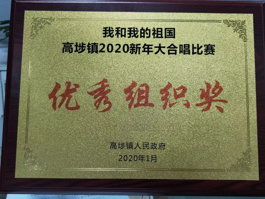 高埗镇GDP2020年_祝贺!2020年高埗镇先进企业、村(社区)、单位出炉