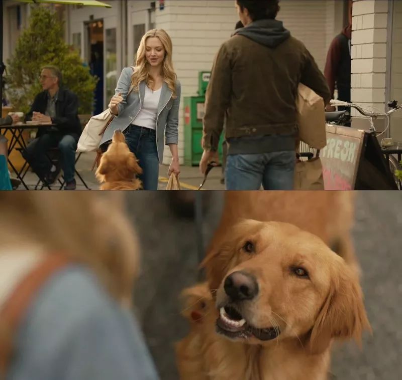 陷入热恋的二人很快就定下了终身大事,他们要结婚了!