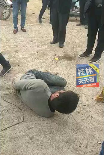 桂林又一个偷狗贼被抓!这下场惨得不忍看了!