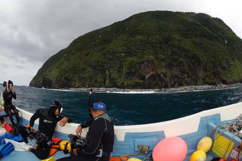 2020年端午日本御藏岛海豚共游