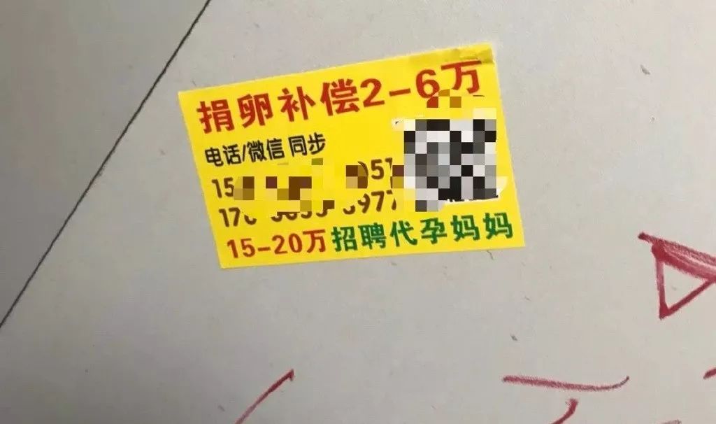 "招捐卵志愿者""有偿捐卵""诚征供卵者"而是"捐卵".