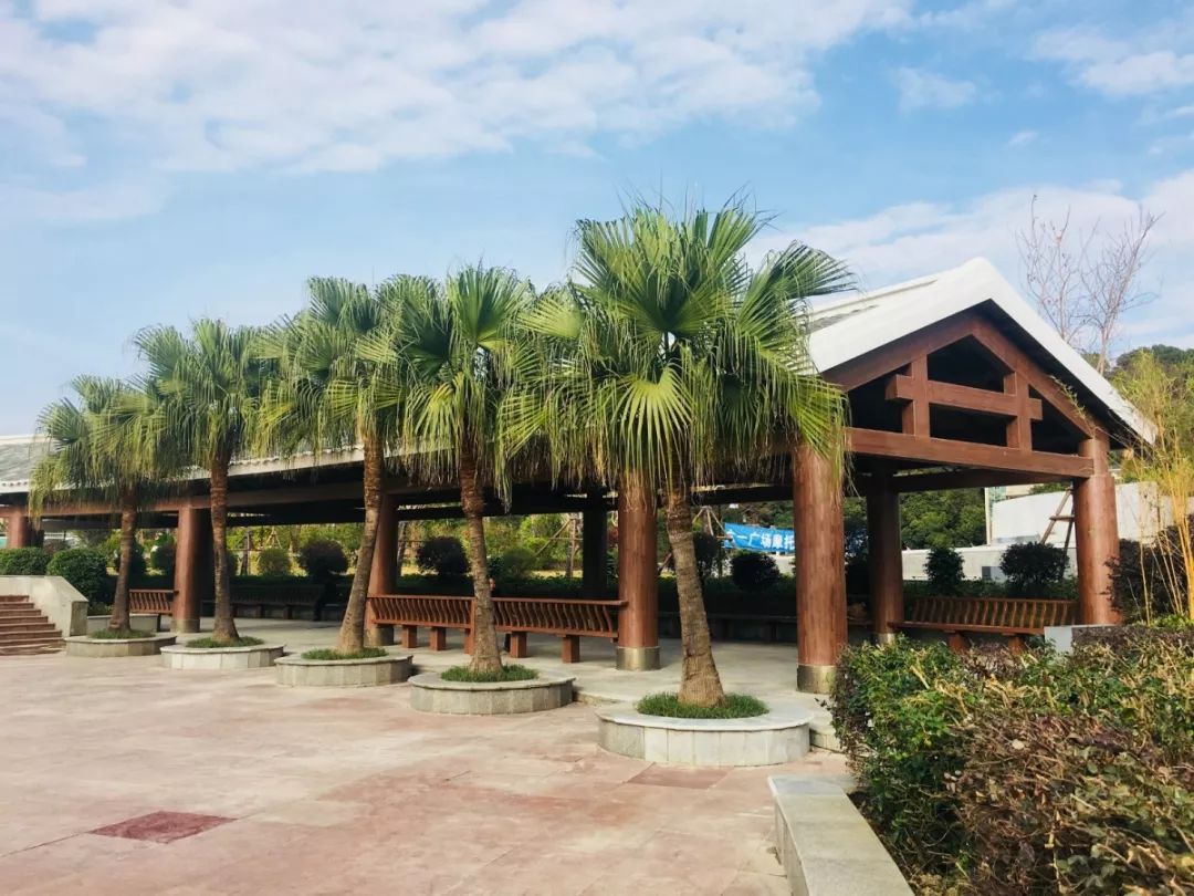 龙岩人超有爱的六一广场开园啦快带上你的小可爱来打卡吧