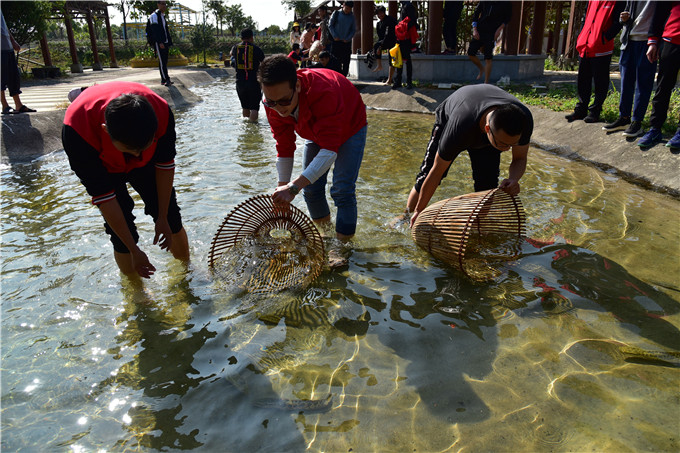 在新上旅游项目的同时,渔耕文化园还完善了系列配套设施,在湿地湖泊建