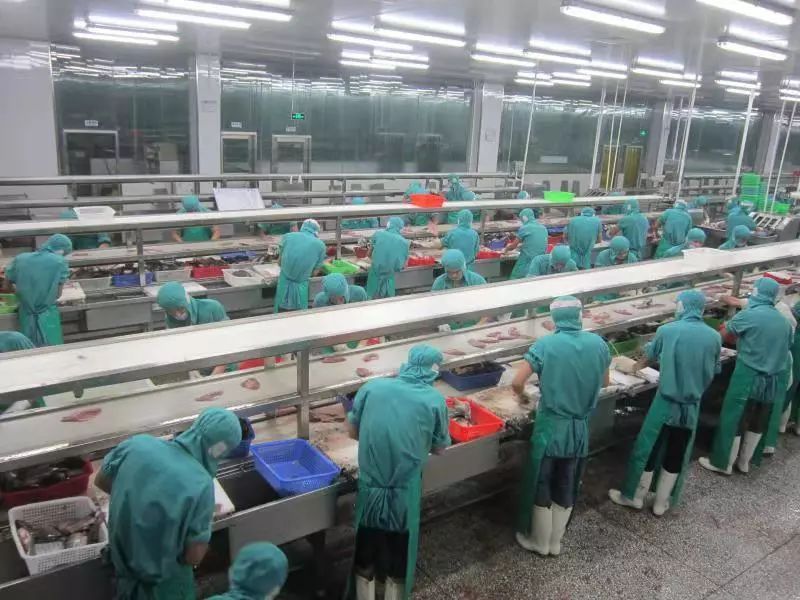 图为:水产加工生产车间