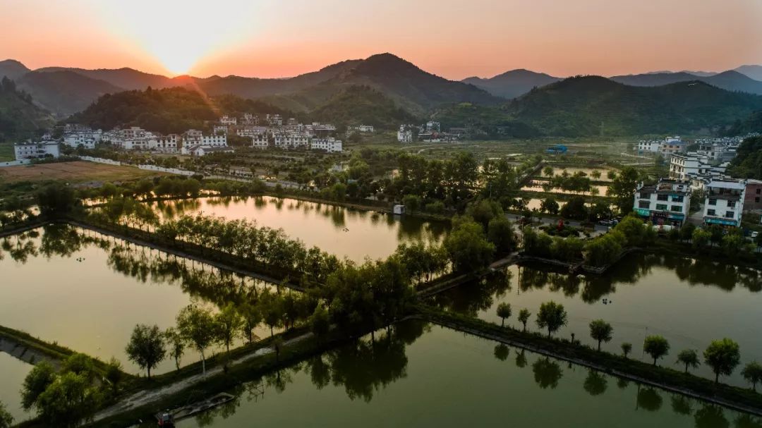 福田镇重实效奏响经济建设"稳增曲"