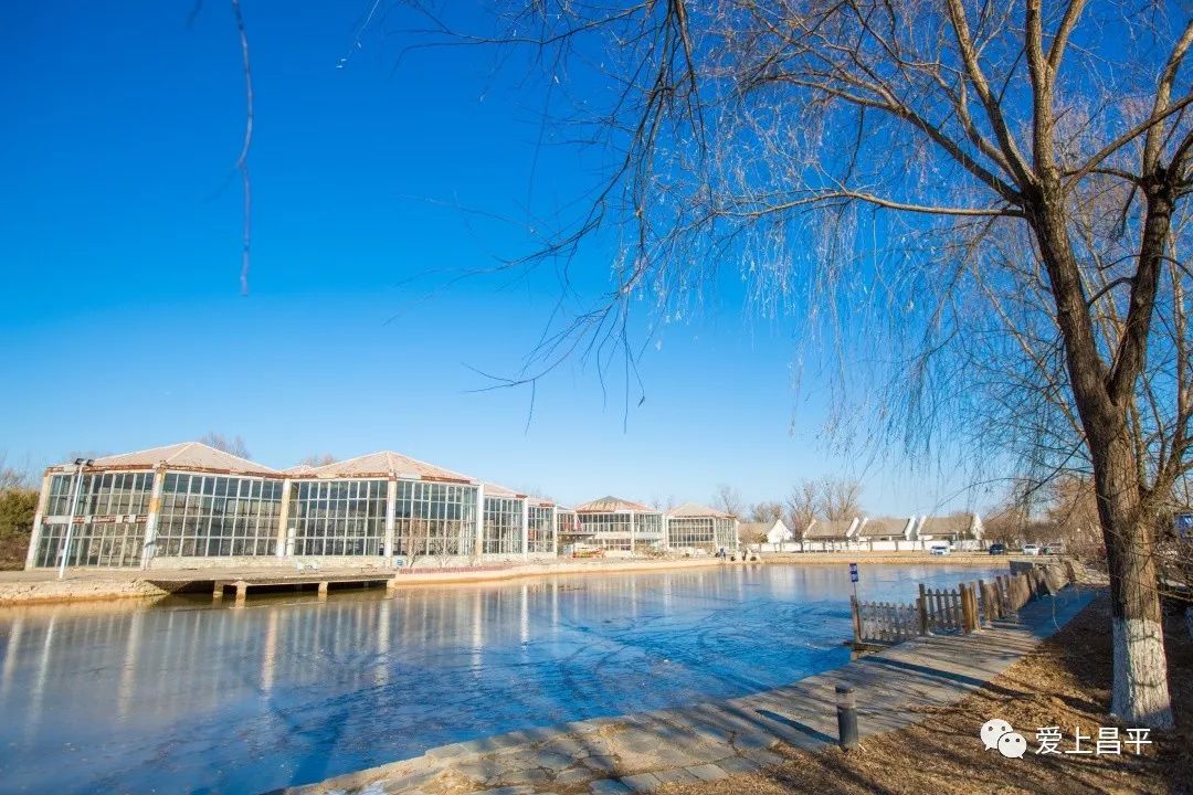 游记小汤山讲礼村一日游泡温泉品驴肉