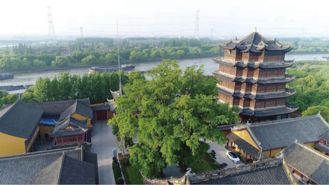 绿容聚焦丨青浦新增5个市级美丽乡村示范村!有你去过的吗?_练塘