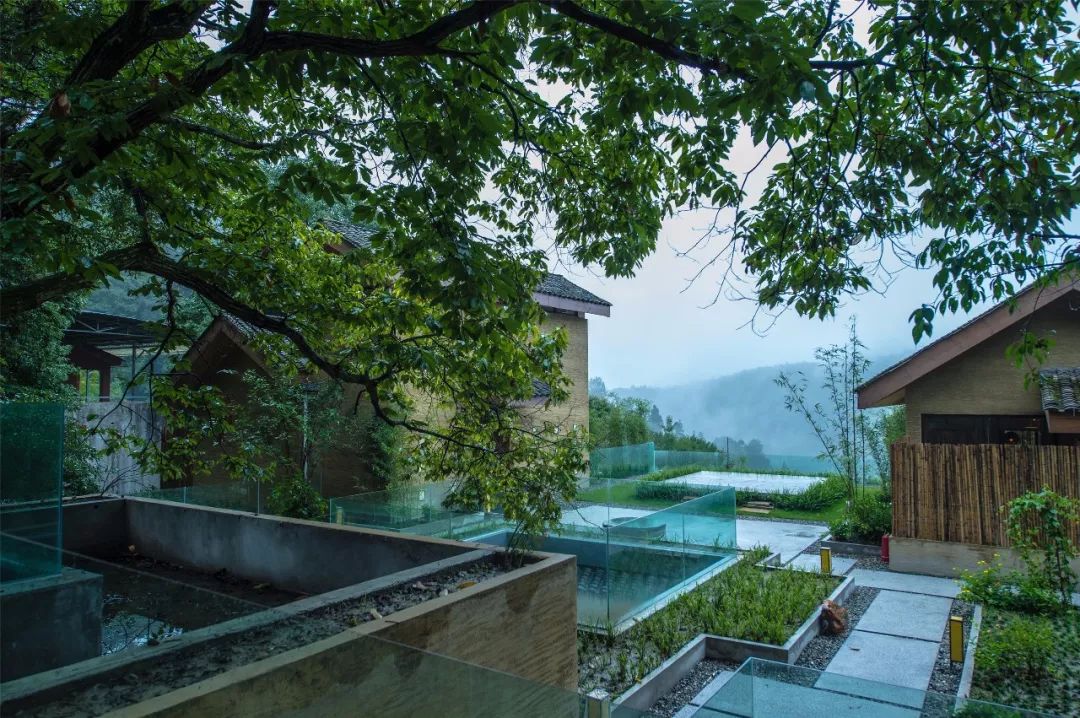 出世与入世青城山青暇山居