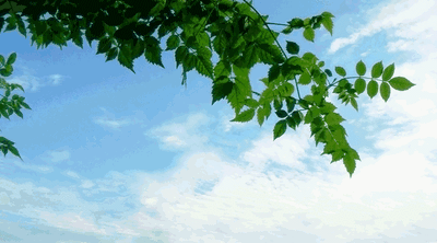 映像青白江 | 蓝天白云好空气,打包新年好天气给你