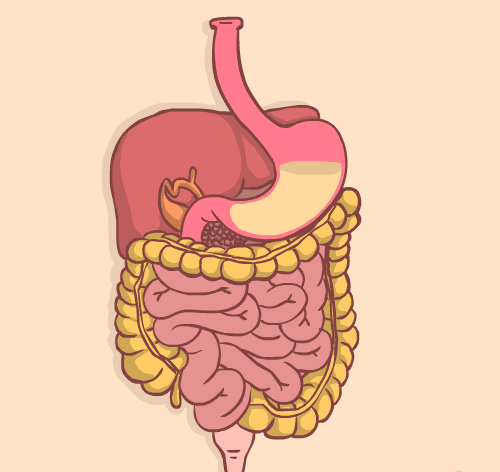 500_472gif 动态图 动图