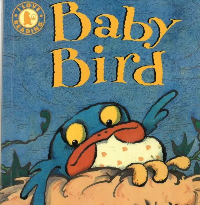 轻松培养英语兴趣大熊英文故事丨baby bird