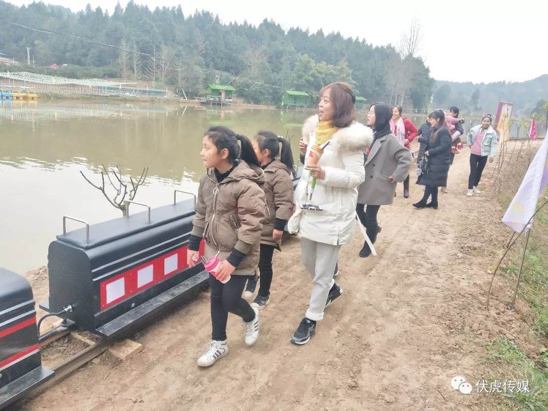伏虎镇寺外桃源景区小火车开通啦