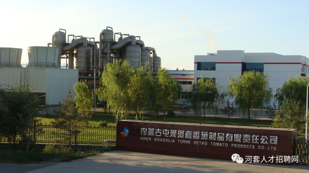 ​中粮糖业--内蒙古屯河河套番茄制品有限责任公司招聘信息_生产