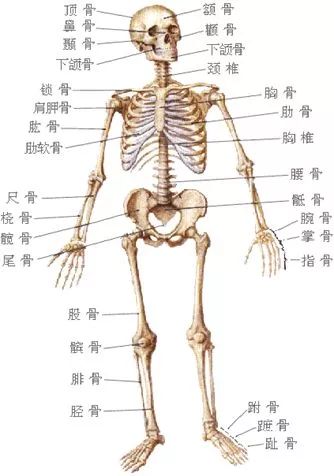 干货 骨科护理的那些基本知识 你都了解了么 横形