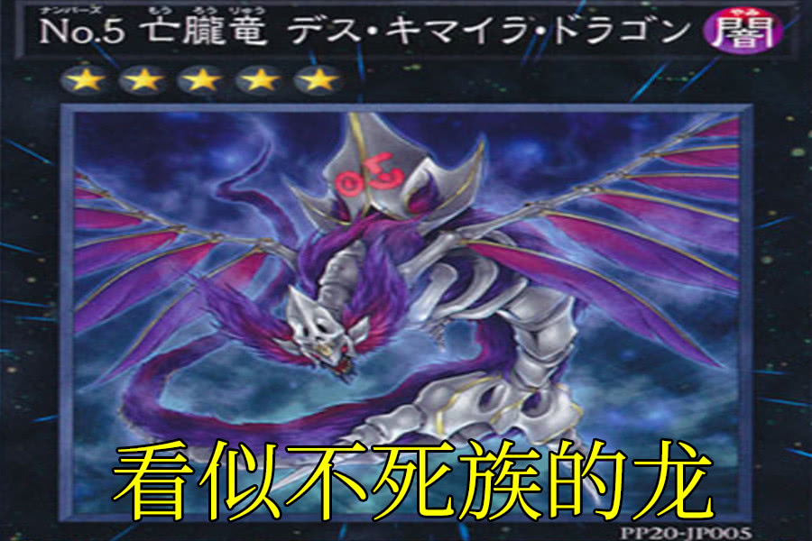 游戏王超量no卡盘点削血换牌高伤害各种效果应有尽有