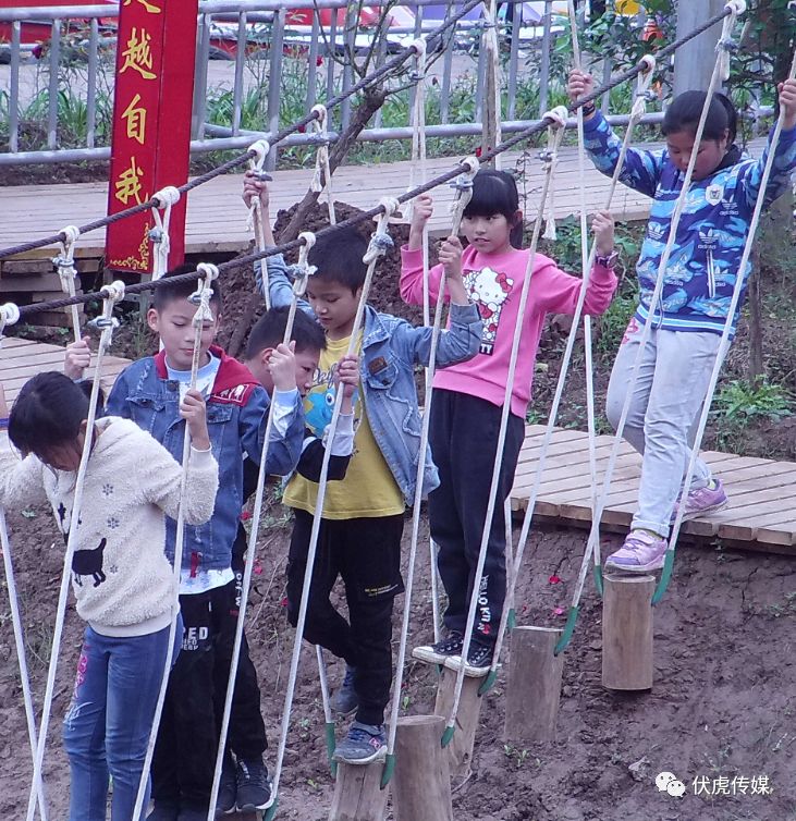 伏虎镇寺外桃源景区小火车开通啦