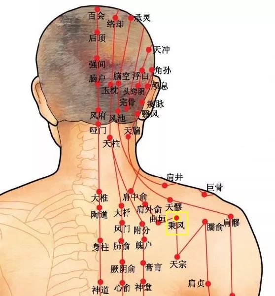 穴位知识 | 十二经脉·手太阳小肠经之秉风穴_主治