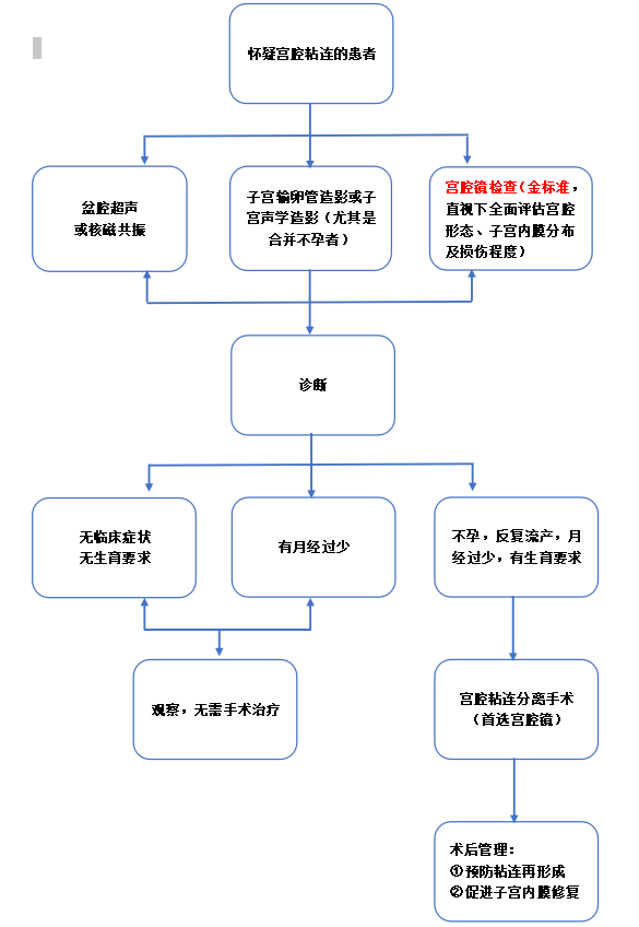 三,宫腔粘连的诊治流程宫腔粘连可以完全没有症状