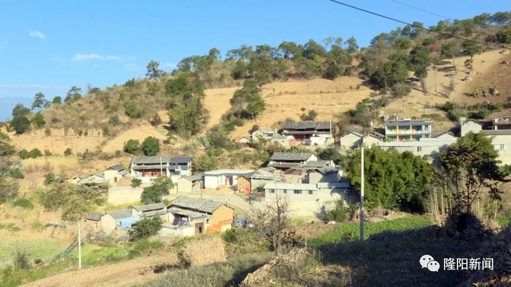 一碗水村变美了