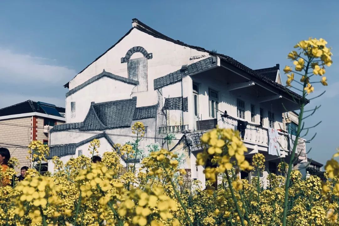 聚焦党代会划重点全面解读大团镇2019年党代会工作报告一