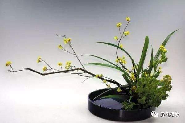 日光温房里培育着很多叫不出名字的花卉植物.边生产,边培育,边展销.