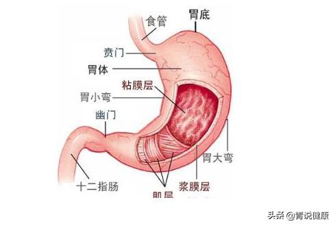40年的胃病为什么越治越严重?