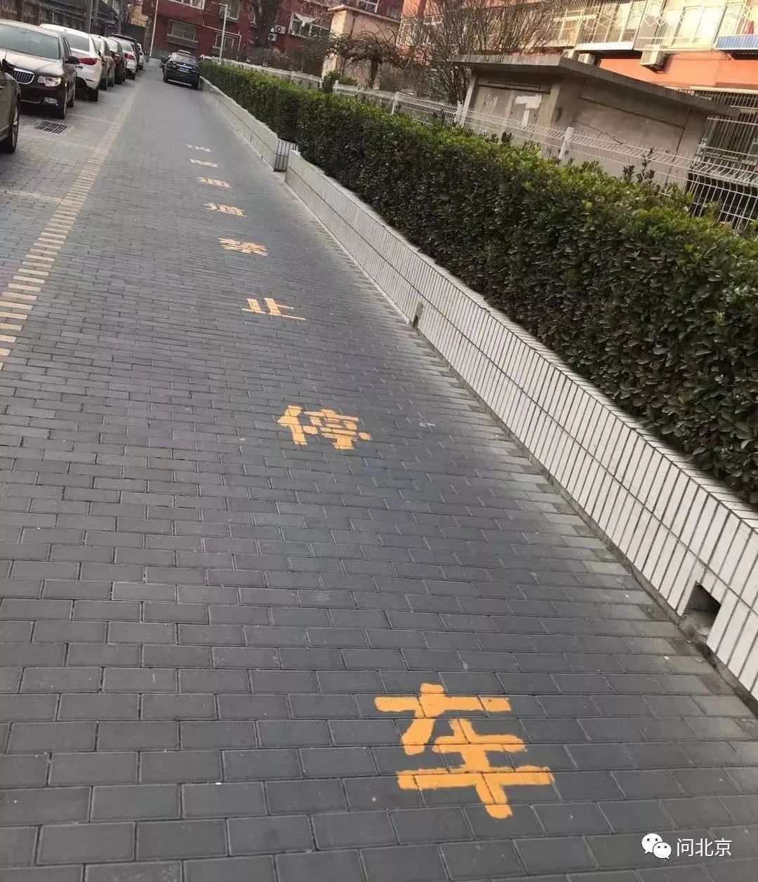 8米宽一侧几乎停满了私家车另一侧地上写着消防通道禁止停车但是